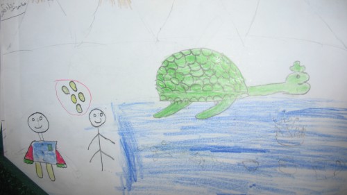 حفاظت از لاکپشت های منقار عقابی جزیره هنگام